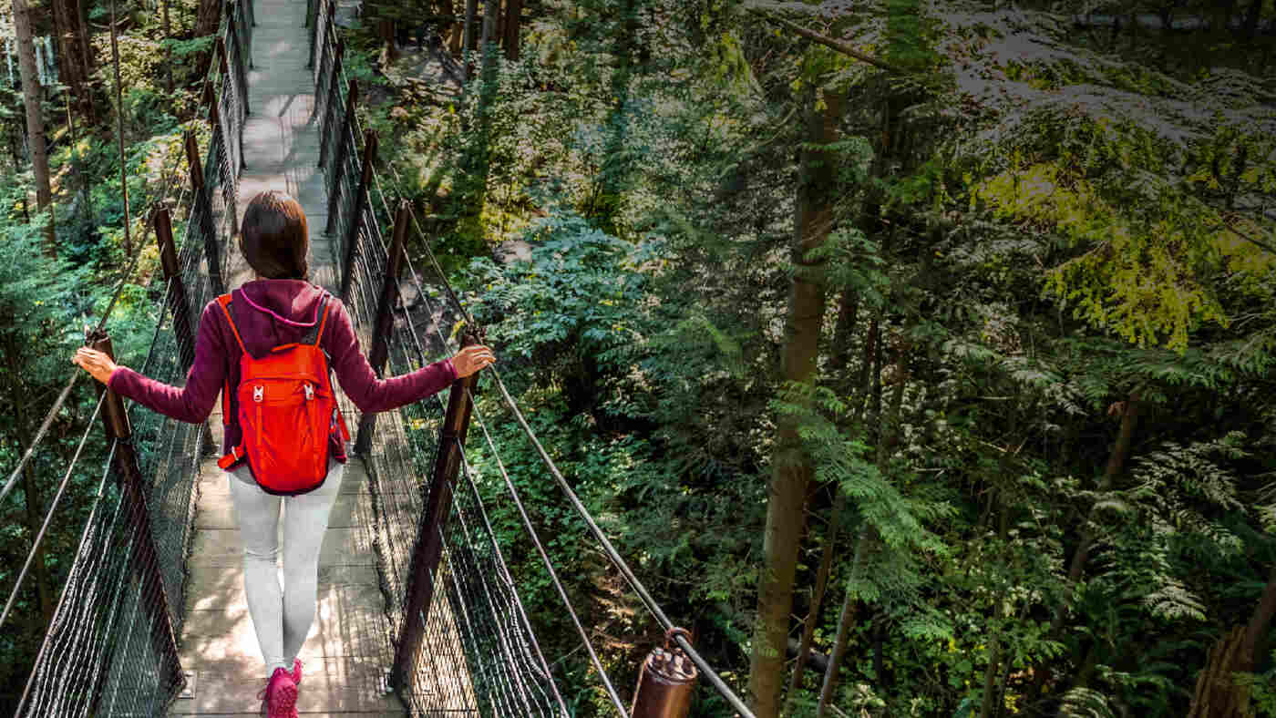 international travel experiences person walking through rainforest